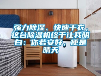 行业新闻强力除湿、快速干衣，这台除湿机终于让我明白：你若安好，便是晴天