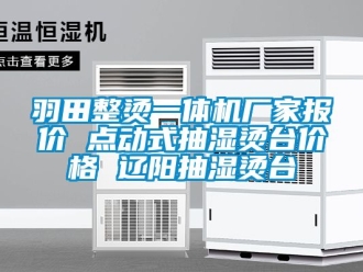 企业新闻羽田整烫一体机厂家报价 点动式抽湿烫台价格 辽阳抽湿烫台