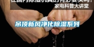 吊顶新风净化除湿系列