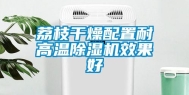 荔枝干燥配置耐高温除湿机效果好