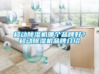 企业新闻移动除湿机哪个品牌好？移动除湿机品牌介绍