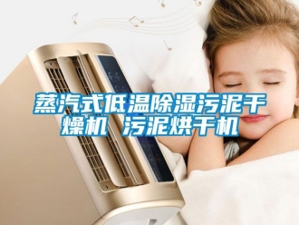 行业新闻蒸汽式低温除湿污泥干燥机 污泥烘干机