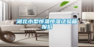 湖北小型恒温恒湿试验箱报价