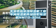 专业供应吊顶除湿机工业车间除湿机商场别墅除湿机NMTD-301E