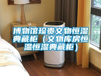 知识百科博物馆珍贵文物恒湿典藏柜（文物库房恒温恒湿典藏柜）