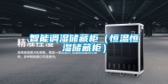 智能调湿储藏柜（恒温恒湿储藏柜）