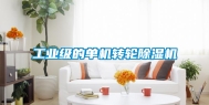 工业级的单机转轮除湿机