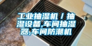 工业抽湿机／抽湿设备,车间抽湿器,车间防潮机
