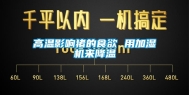 高温影响猪的食欲 用加湿机来降温