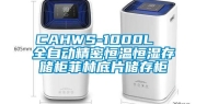 CAHWS-1000L  全自动精密恒温恒湿存储柜菲林底片储存柜