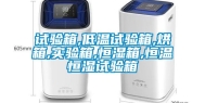试验箱,低温试验箱,烘箱,实验箱,恒湿箱,恒温恒湿试验箱
