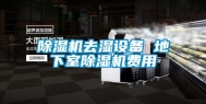 除湿机去湿设备 地下室除湿机费用