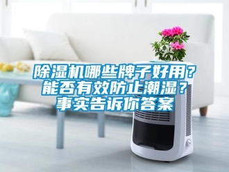 行业新闻除湿机哪些牌子好用？能否有效防止潮湿？事实告诉你答案