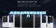 除湿机品牌就是除湿机权力