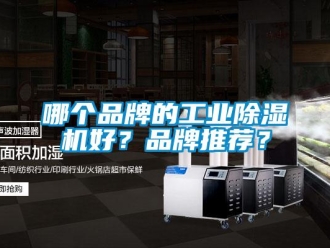 常见问题哪个品牌的工业除湿机好？品牌推荐？
