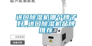 进口除湿机哪个牌子好_进口除湿机品牌推荐