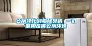 公厕净化消毒除臭机 一机多用改善公厕环境