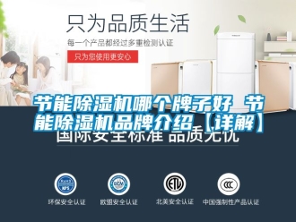 企业新闻节能除湿机哪个牌子好 节能除湿机品牌介绍【详解】