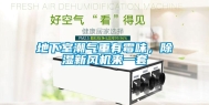 地下室潮气重有霉味，除湿新风机来一套