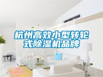 常见问题杭州高效小型转轮式除湿机品牌