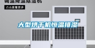 大型烘干机恒温排湿