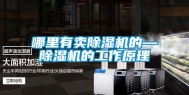 哪里有卖除湿机的—除湿机的工作原理