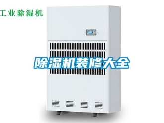 企业新闻除湿机装修大全