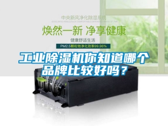 常见问题工业除湿机你知道哪个品牌比较好吗？