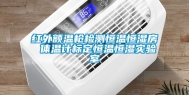 红外额温枪检测恒温恒湿房 体温计标定恒温恒湿实验室