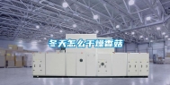 冬天怎么干燥香菇
