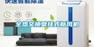 全热交换壁挂式新风机