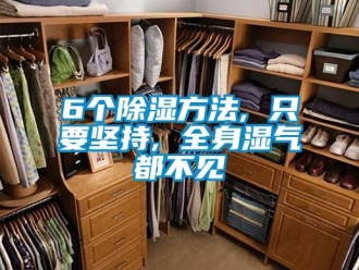 企业新闻6个除湿方法, 只要坚持, 全身湿气都不见