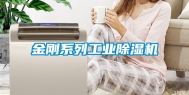 金刚系列工业除湿机