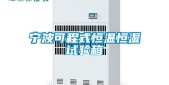 宁波可程式恒温恒湿试验箱