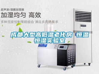 知识百科成都大型高低温老化房 恒温恒湿实验室