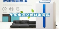 中国电器之都样本调查