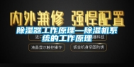 除湿器工作原理—除湿机系统的工作原理