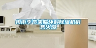 梅雨季节来临环科除湿机销售火爆