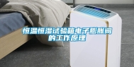 恒温恒湿试验箱电子膨胀阀的工作原理