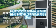 博物馆文物展柜恒温恒湿展柜制作电动开启展柜斜面柜