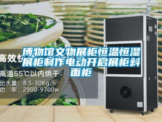 知识百科博物馆文物展柜恒温恒湿展柜制作电动开启展柜斜面柜
