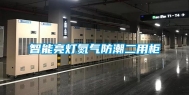 智能亮灯氮气防潮二用柜