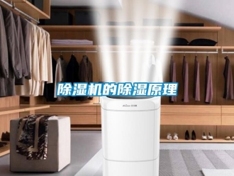 企业新闻除湿机的除湿原理