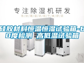 知识百科硅胶材料恒温恒湿试验箱-60度检测 高低温试验箱