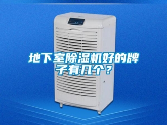 行业新闻地下室除湿机好的牌子有几个？