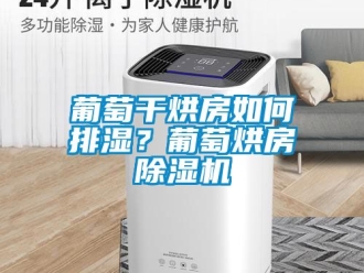 行业新闻葡萄干烘房如何排湿？葡萄烘房除湿机