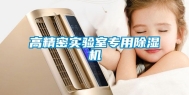 高精密实验室专用除湿机