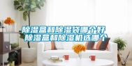 除湿盒和除湿袋哪个好 除湿盒和除湿机选哪个