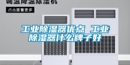 工业除湿器优点 工业除湿器什么牌子好