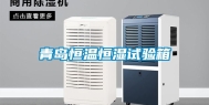 青岛恒温恒湿试验箱